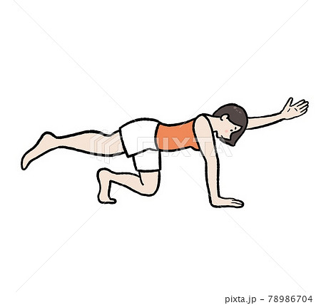 体幹トレーニングのイラスト素材