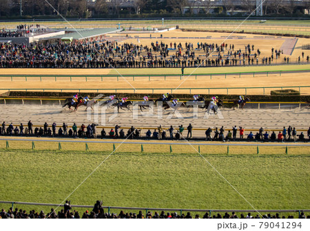 東京競馬場の写真素材 - PIXTA