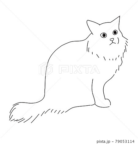 長毛白黒猫のイラスト素材