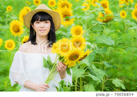 花 向日葵 麦わら帽子 ひまわり畑の写真素材