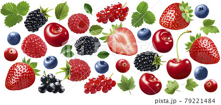 デューベリーの写真素材