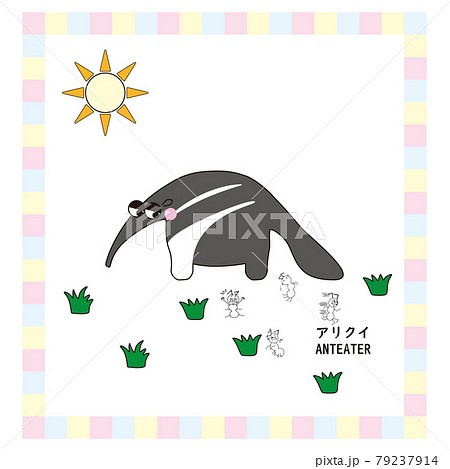 アリクイのイラスト素材