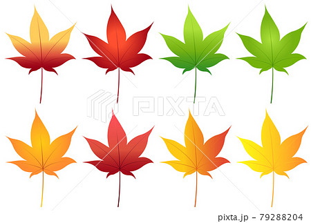 葉 もみじ 楓 紅葉のイラスト素材