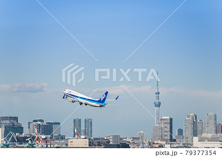 Ana 飛行機の写真素材