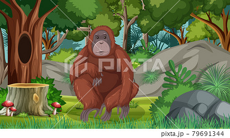 オラウータン かわいいのイラスト素材