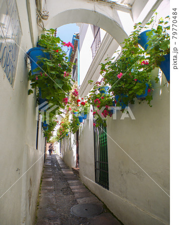 花の小道 町並み スペイン 風景の写真素材