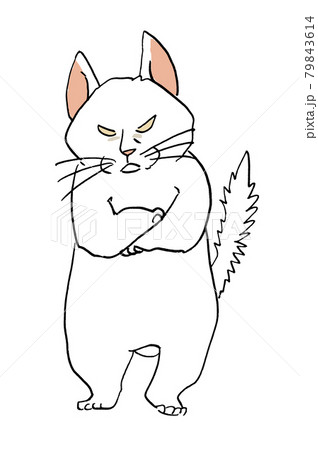 猫 白猫 かわいい ペン画の写真素材