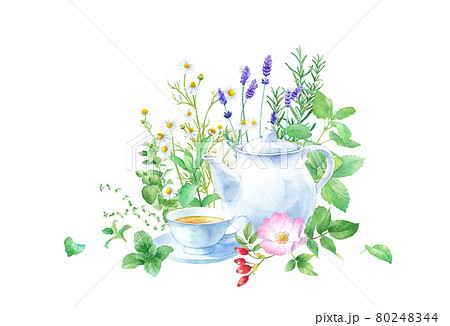 紅茶 ハーブティーのイラスト素材集 ピクスタ