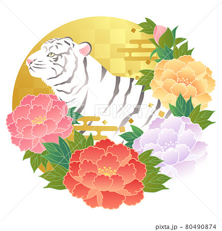 牡丹 花 和柄 植物 正月 イラスト 和風の写真素材