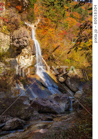 藤花の滝の写真素材