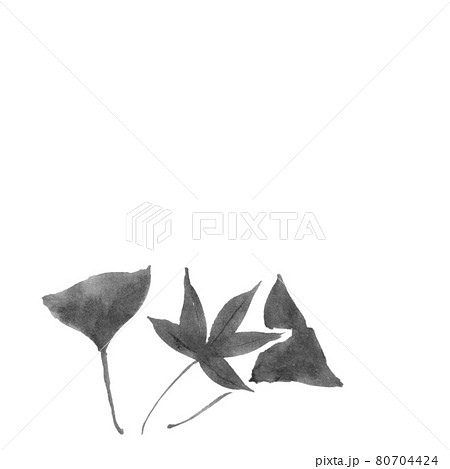 イチョウ もみじのイラスト素材