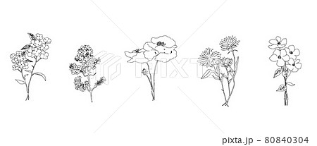 花 モノクロ 植物 一輪の写真素材