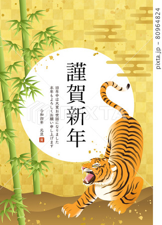 虎 和柄 ベクター カッコイイの写真素材