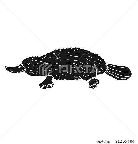 カモノハシ 絵のイラスト素材