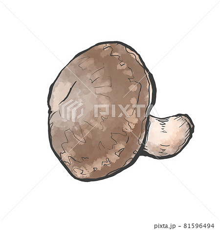 椎茸のイラスト素材