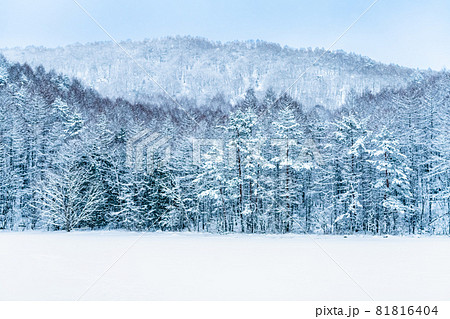 冬 御射鹿池 雪 氷の写真素材 - PIXTA