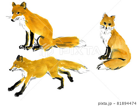 墨絵 動物 生き物の写真素材