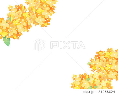 キンモクセイのイラスト素材