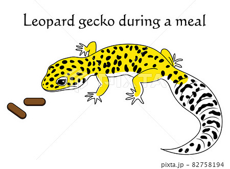 とかげ トカゲ かわいい 可愛いのイラスト素材
