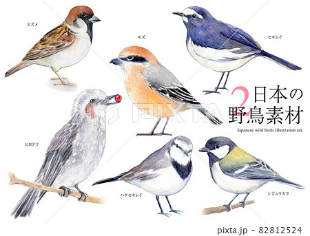 雀のイラスト素材