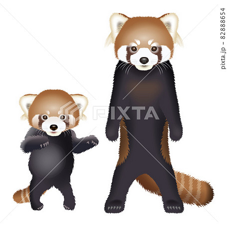 赤ちゃんパンダのイラスト素材