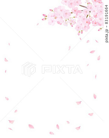 桜 花びら フレーム メッセージカードの写真素材