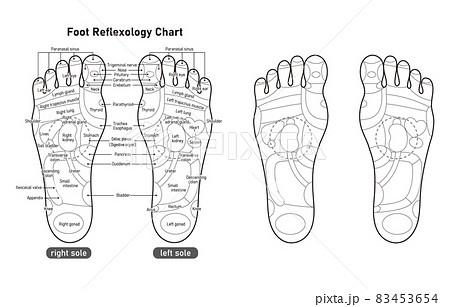 右足のイラスト素材