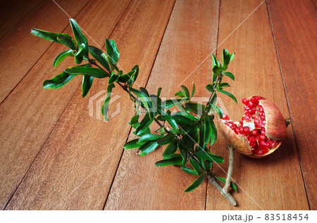 ざくろの葉っぱの写真素材 ざくろの葉っぱの写真素材