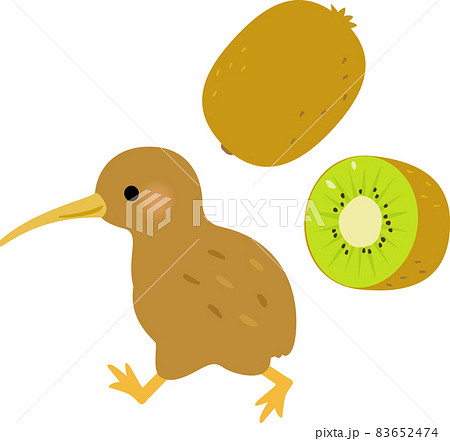 キーウィ 鳥 白背景 かわいいのイラスト素材