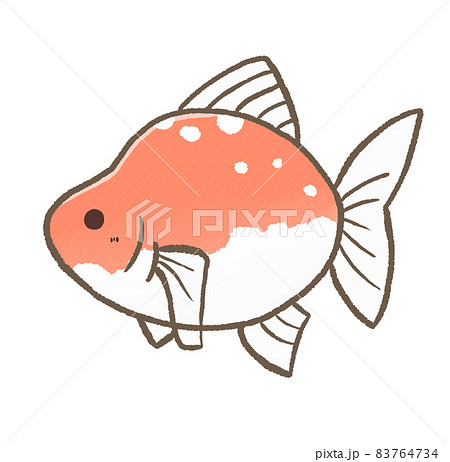 フナのイラスト素材