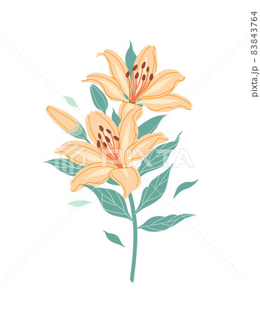 Elegant and beautiful seamless orange flower - Stock Illustration  [68829324] - PIXTA