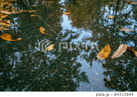 道路 雨上がり 水たまり 水溜り 風景 水の写真素材