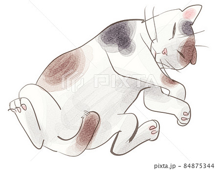眠り猫のイラスト素材