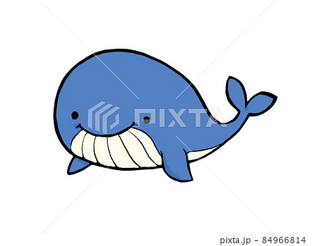 クジラ 鯨 のイラスト素材集 ピクスタ