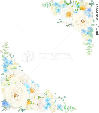 ブルースターのイラスト素材 ブルースターのイラスト素材