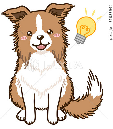 ボーダーコリーのイラスト素材
