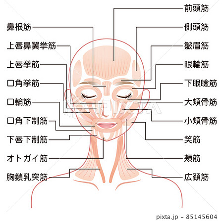 顔 顔のパーツのイラスト素材集 ピクスタ