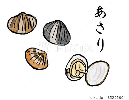 あさり貝のイラスト素材