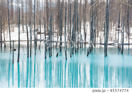 北海道 壁紙 美瑛 青い池の写真素材 北海道 壁紙 美瑛 青い池の写真素材
