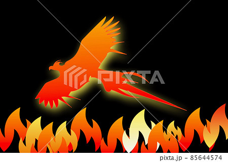 不死鳥 フェニックス 火の鳥 炎のイラスト素材