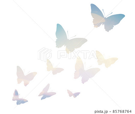 羽ばたく蝶の写真素材 - PIXTA