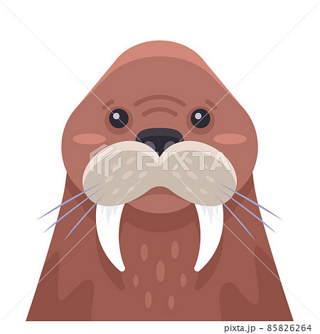 セイウチ イラスト 動物 かわいいのイラスト素材