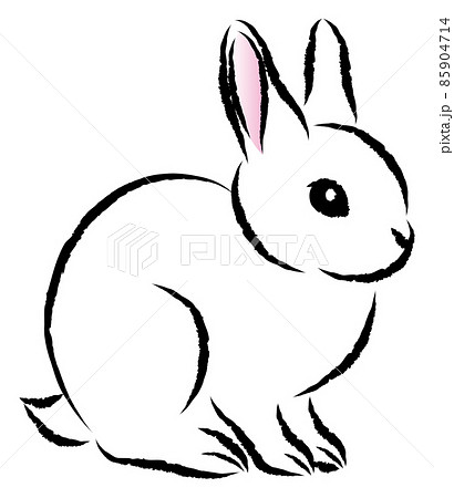 イラスト 手描き 手書き うさぎのイラスト素材