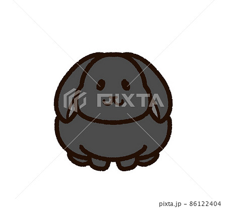 垂れ耳うさぎの写真素材 垂れ耳うさぎの写真素材