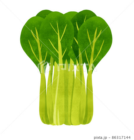 小松菜のイラスト素材集 ピクスタ