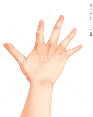 手 イラスト 手のひら 右手のイラスト素材
