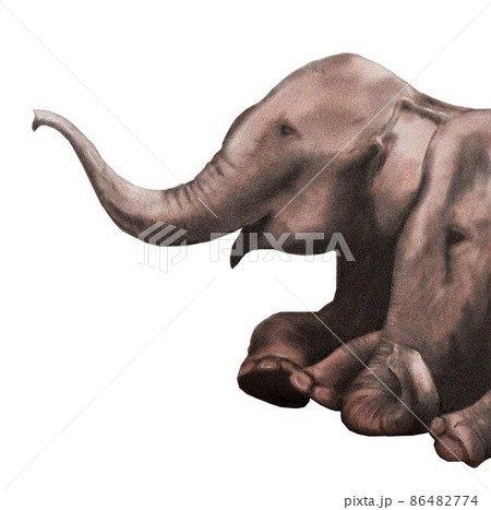 インド象のイラスト素材