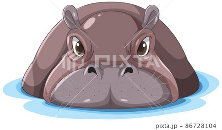 動物 カバ 正面 生物の写真素材