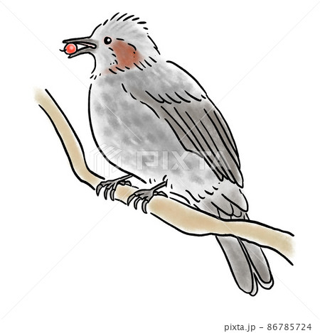 絵 【赤い実を運ぶ鳥さん】