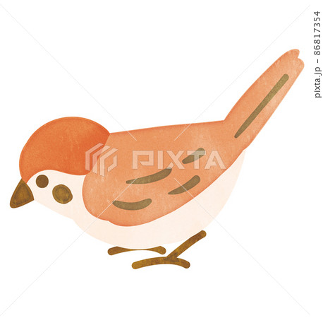 雀のイラスト素材